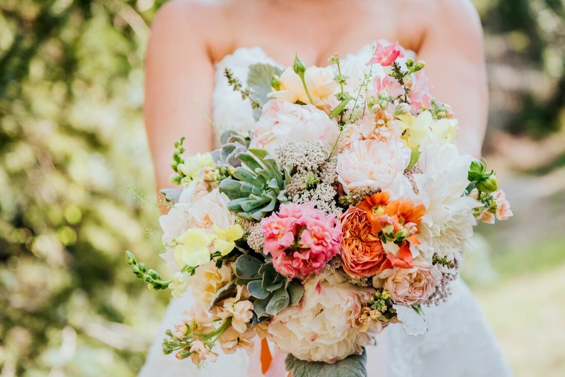 colorado intimate weddings