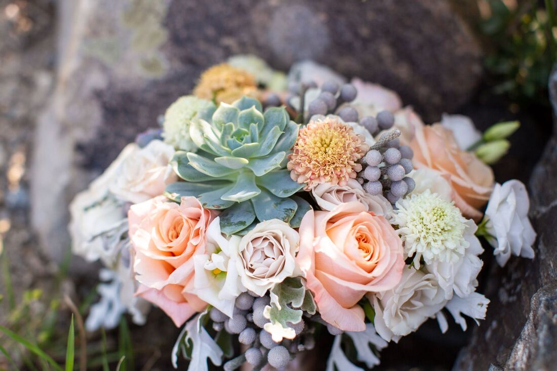 elopement-package-colorado