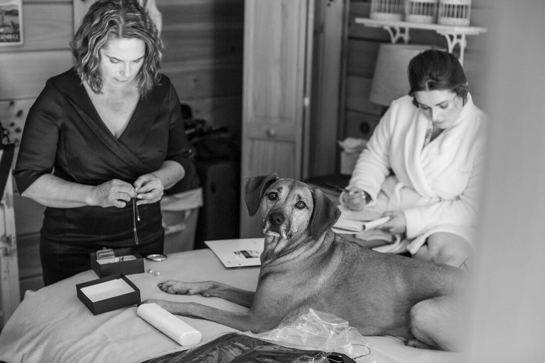 colorado-elopement-packages