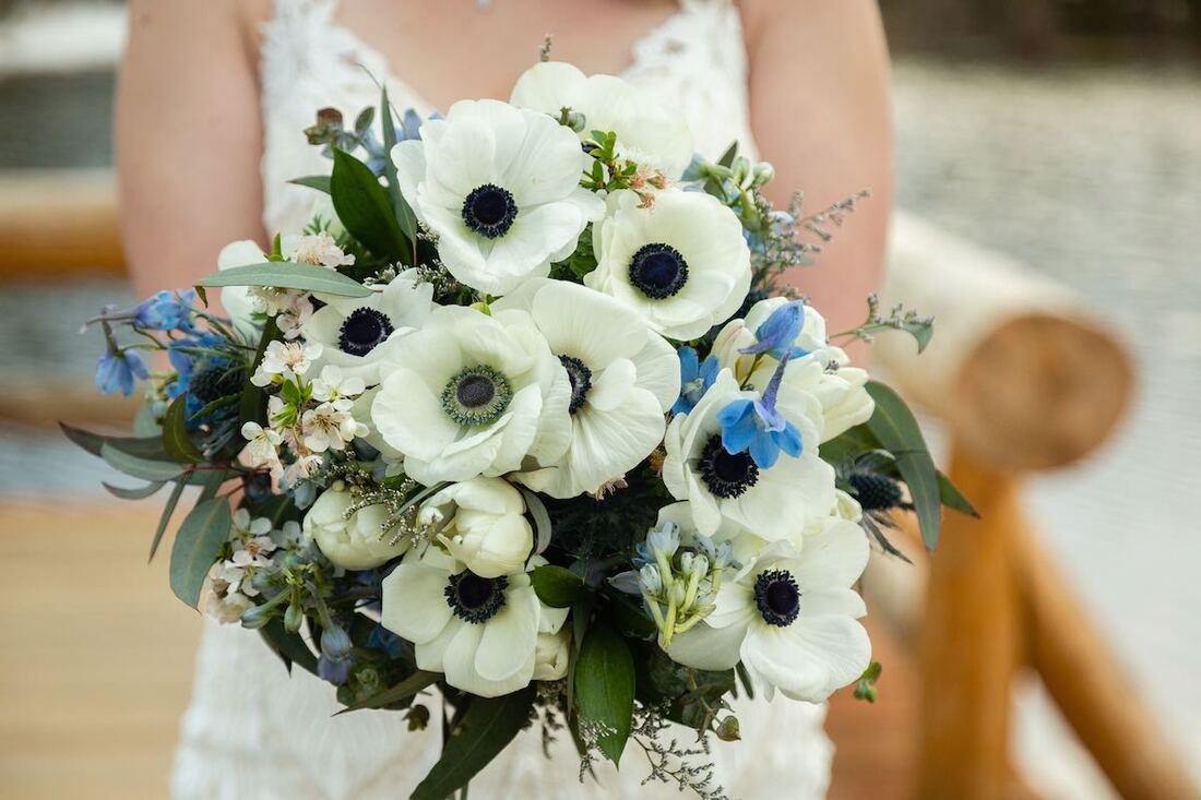 Colorado microwedding package