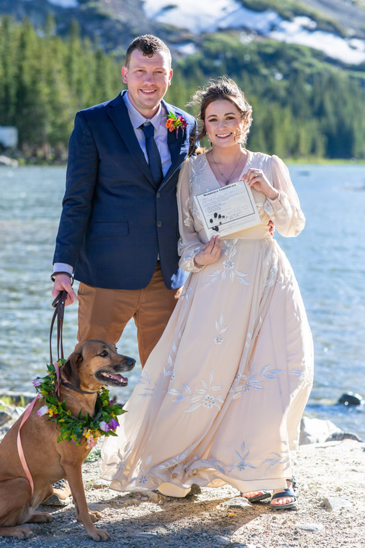 dog-signing-marriage-license