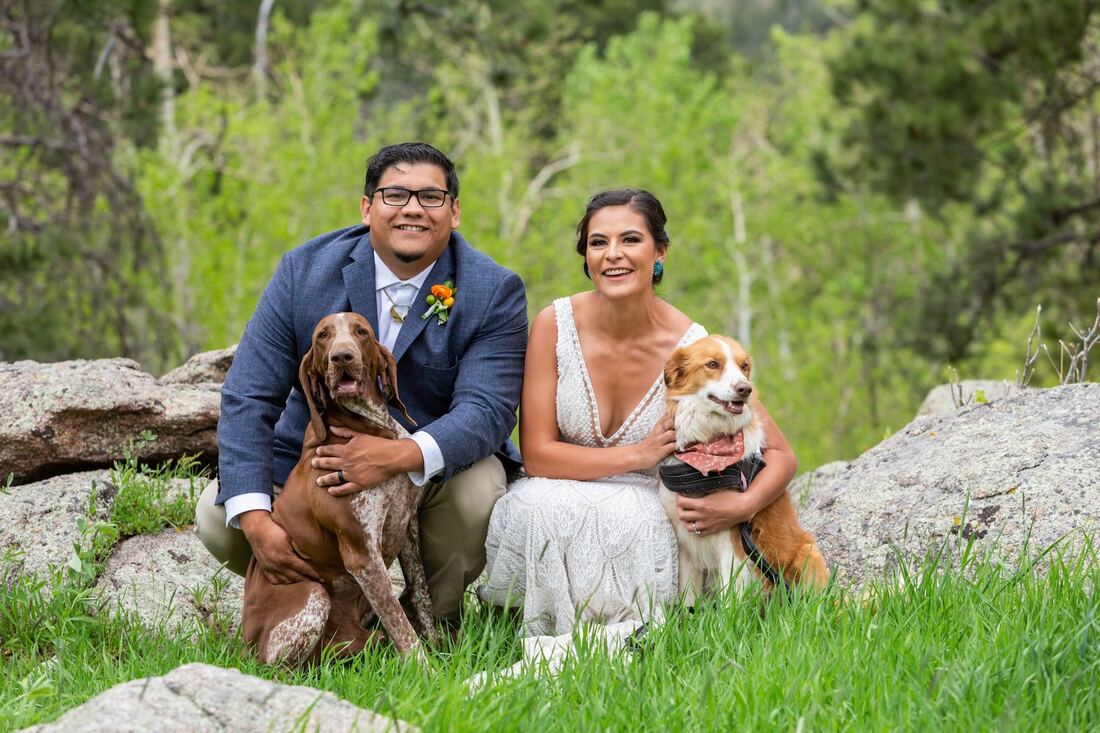 dogs-in-weddings