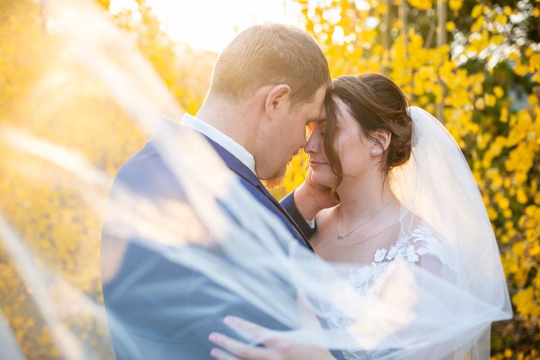 Intimate Colorado wedding