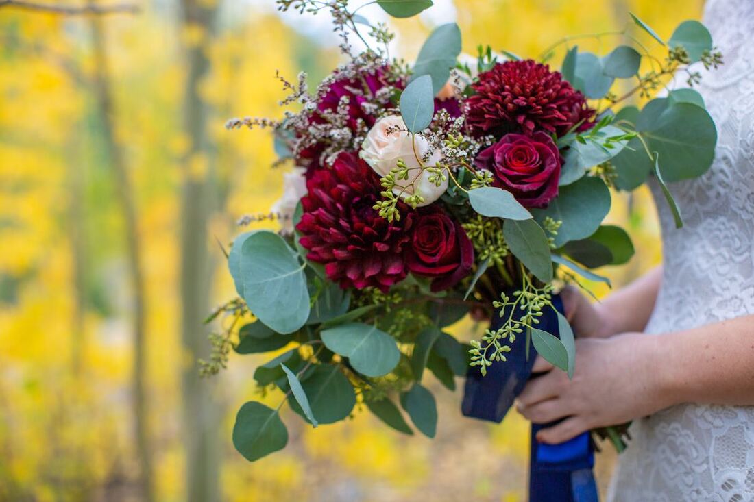 colorado elopement packages