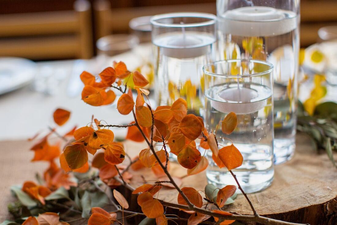 Colorado microweddings