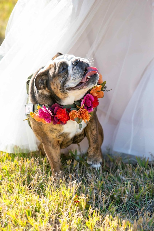 Colorado-Wedding-Packages