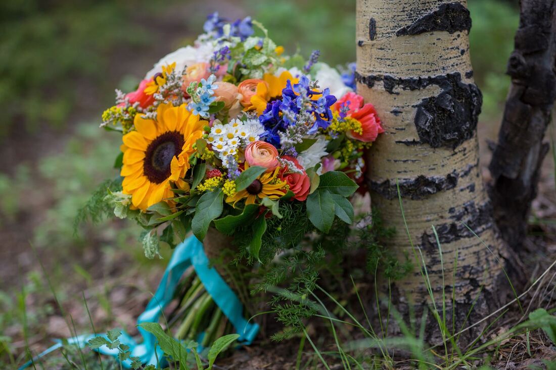 Sapphire Point Wedding