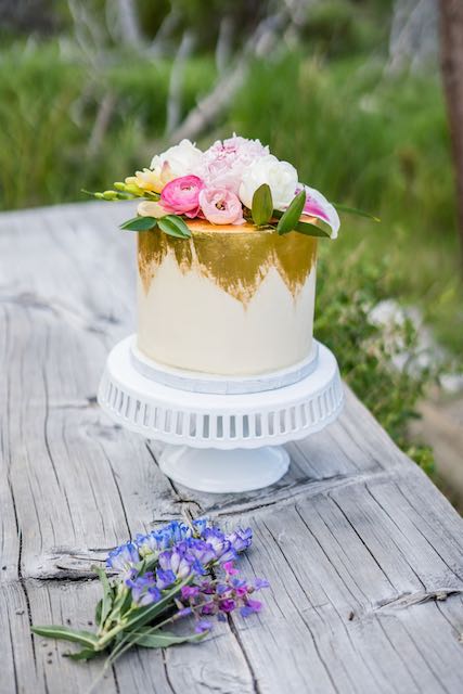 all inclusive elopement packages colorado