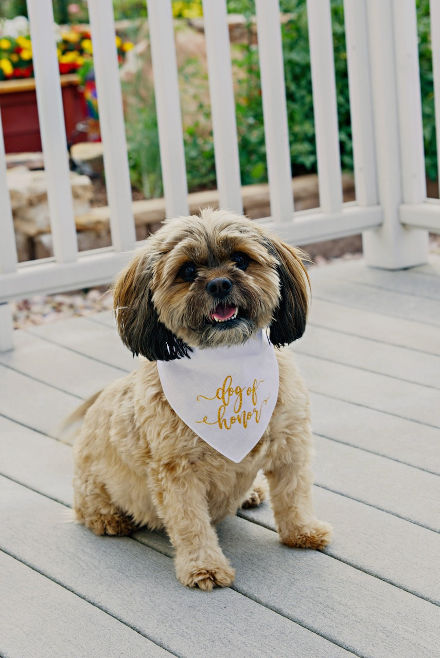 Custom weddings of Colorado