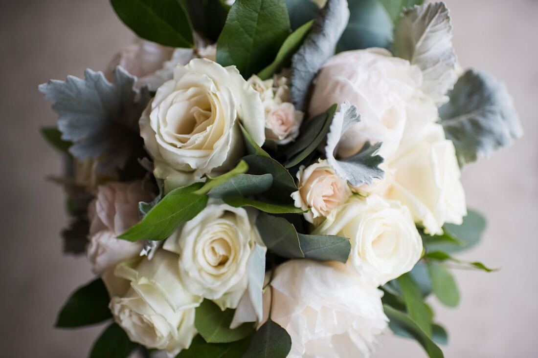 colorado elopement packages