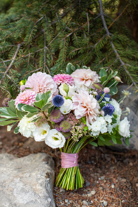 micro-wedding-packages