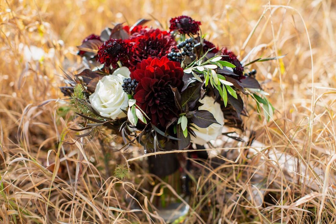 Colorado microweddings