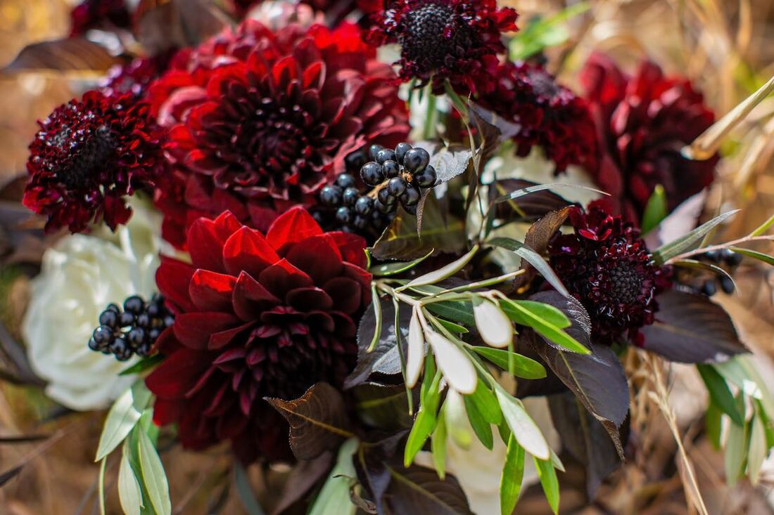 Colorado microweddings