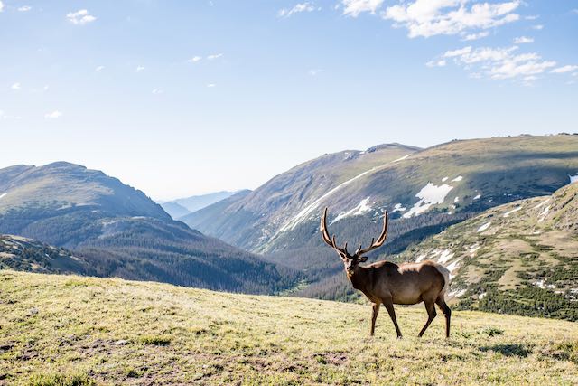  small weddings in colorado