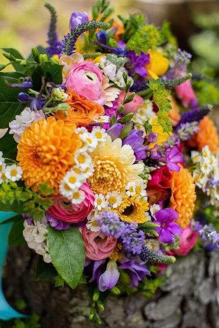 Colorado microweddings