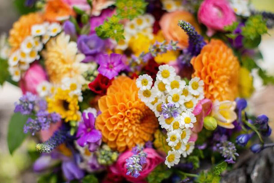 Small wedding venues Colorado