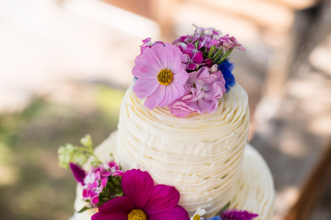 Sprague Lake elopement