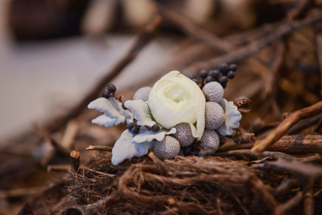 Colorado microweddings