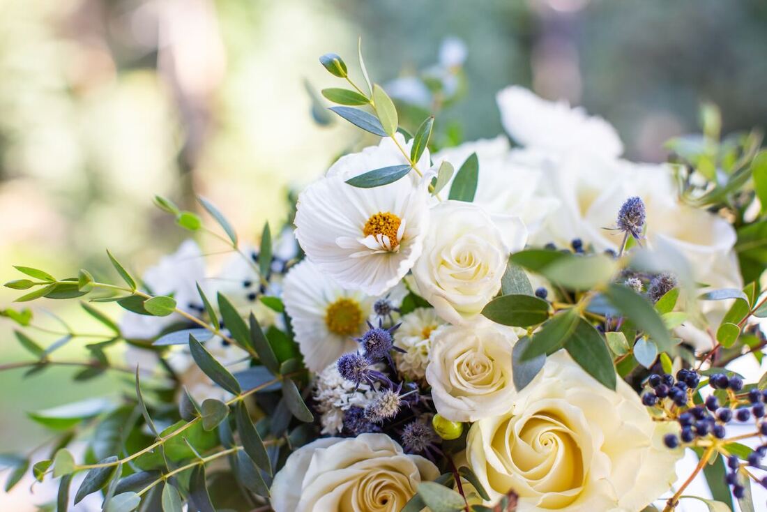 micro-wedding-package-colorado