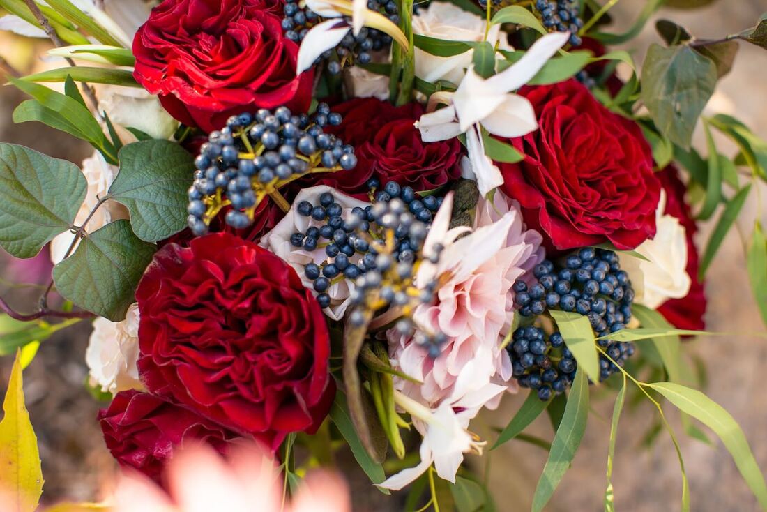 small-wedding-colorado