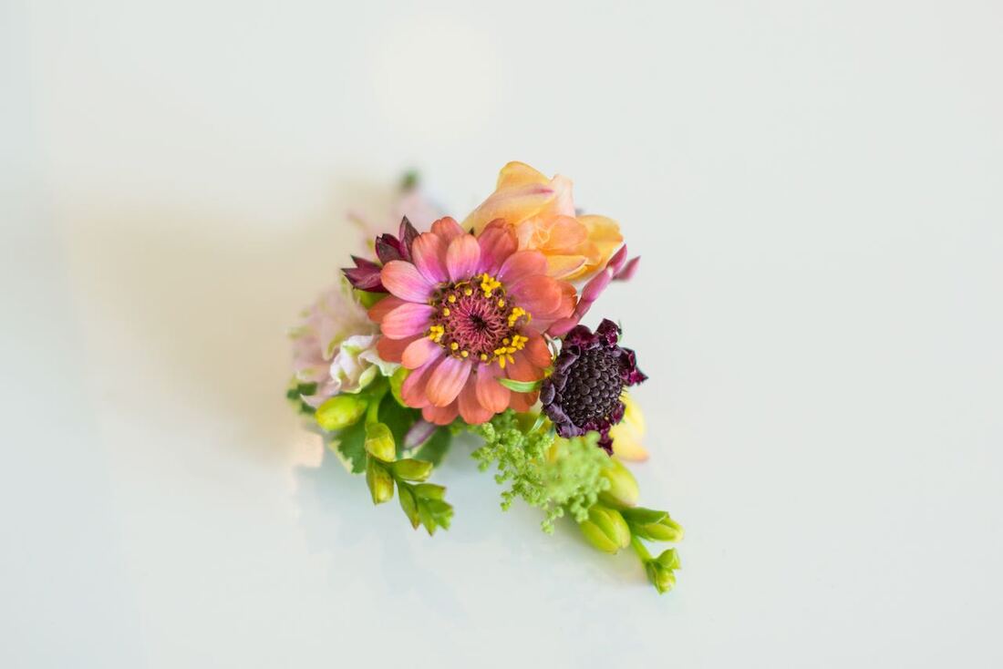 intimate weddings in colorado